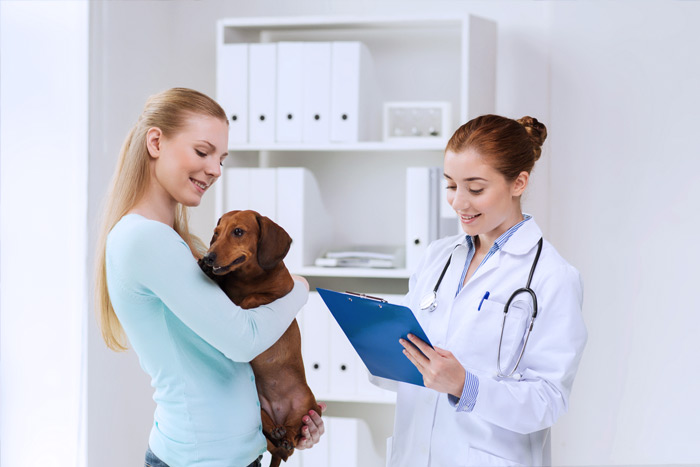 ЭЦП для оформления ветеринарных сертификатов (ГИС Меркурий) в Элисте 